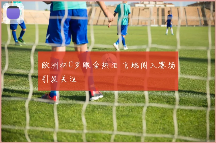 欧洲杯C罗眼含热泪 飞蛾闯入赛场引发关注